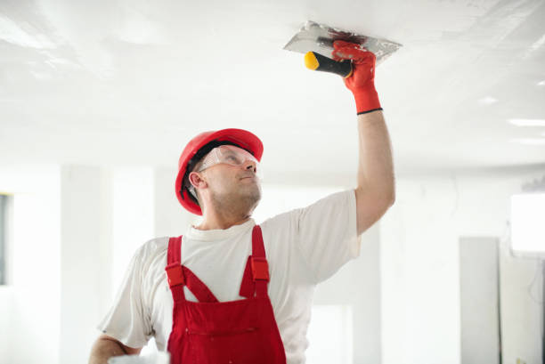 Best Wallpaper Removal and Painting  in Northwest Harbor, NY